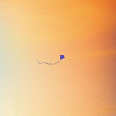 Album cover for Wide Awake