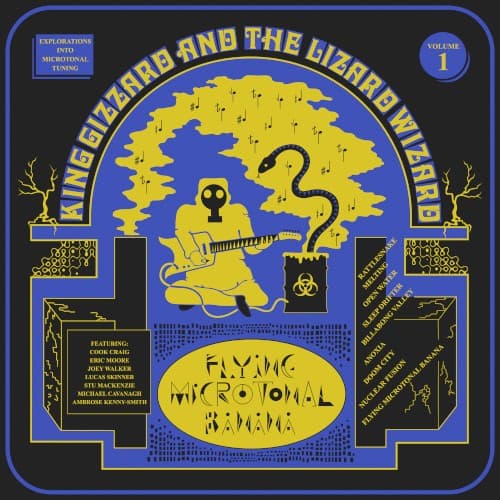 Flying Microtonal Banana cover