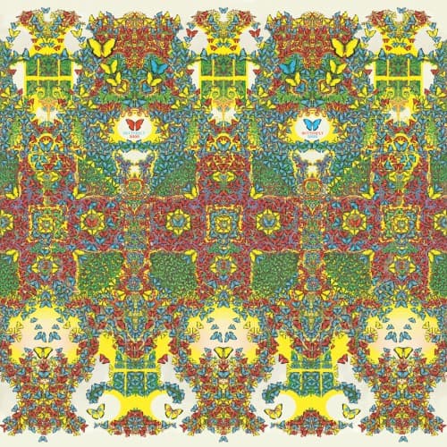 Butterfly 3000 cover