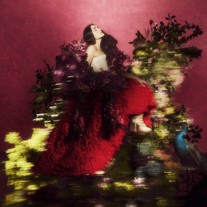 Superbloom cover