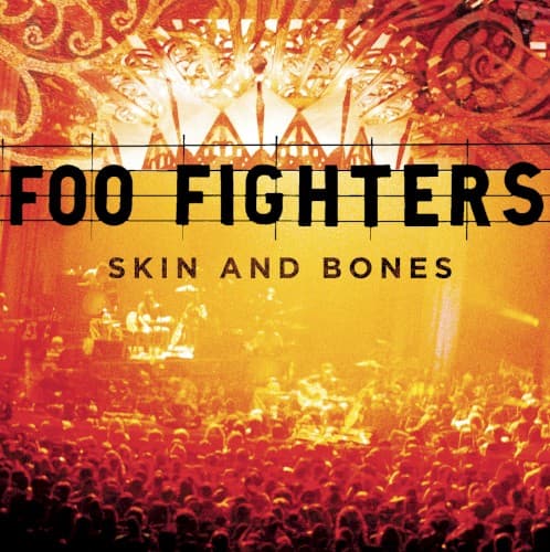 Skin And Bones cover