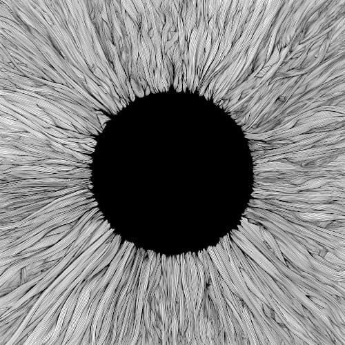 Witness cover