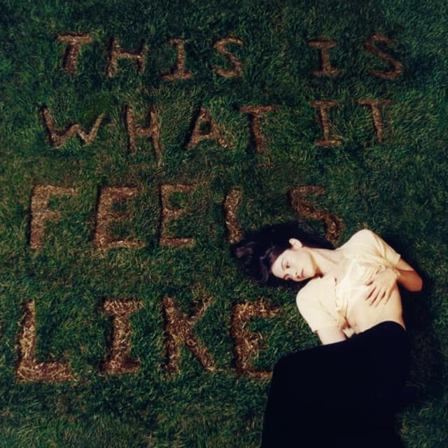This Is What It Feels Like cover