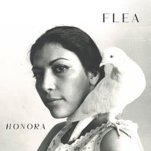 Honora cover