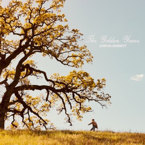 The Golden Years cover