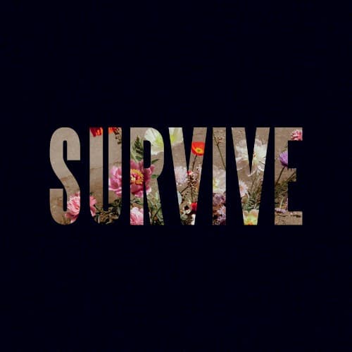Survive EP cover