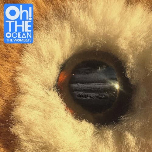 Oh! The Ocean cover