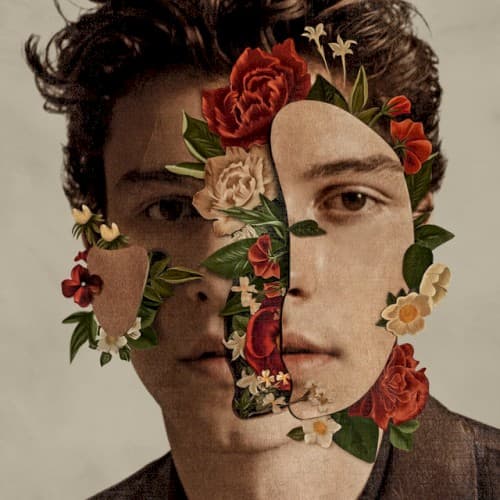 Shawn Mendes cover