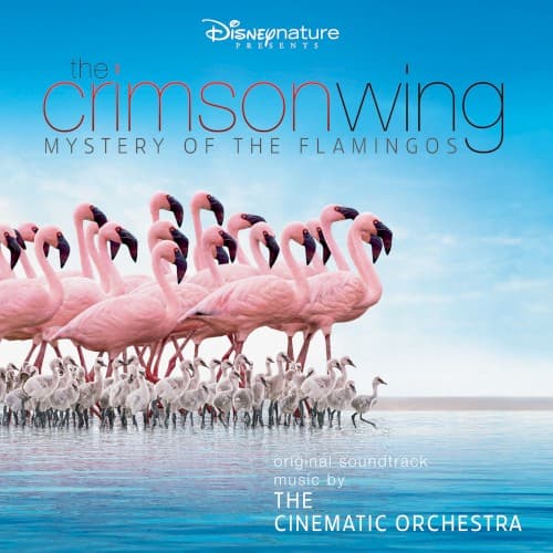 The Crimson Wing: Mystery of the Flamingos (Original Soundtrack) cover