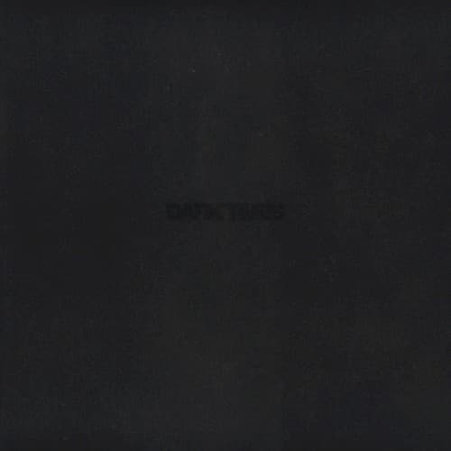 Dark Times cover