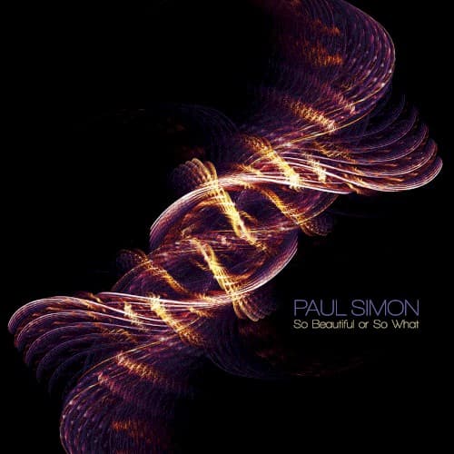 So Beautiful or So What cover