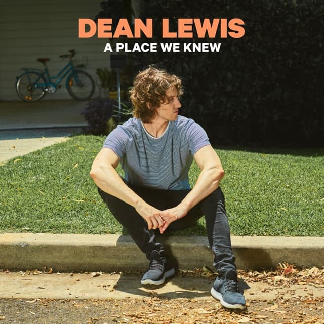A Place We Knew cover