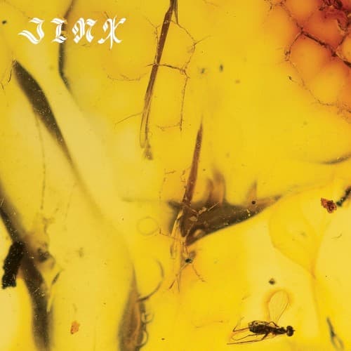 Jinx cover