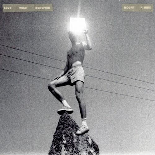 Love What Survives cover