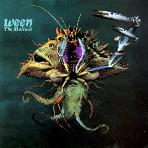 The Mollusk cover
