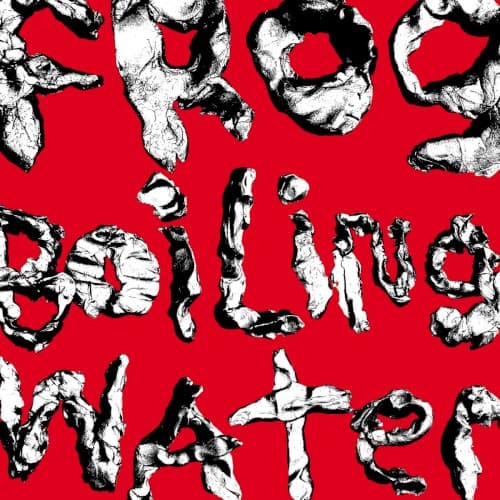 Frog in Boiling Water cover