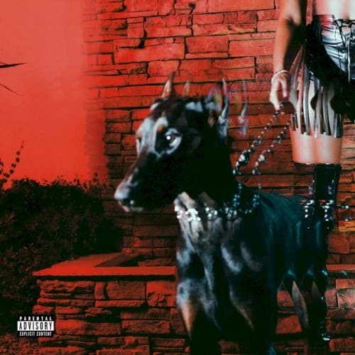 MUTT cover