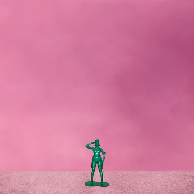 HEARTS SOLD SEPARATELY cover