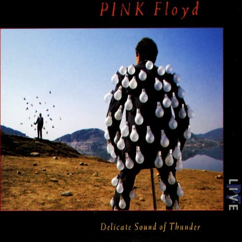 Delicate Sound of Thunder cover